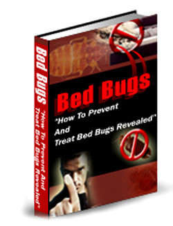 Bed Bugs